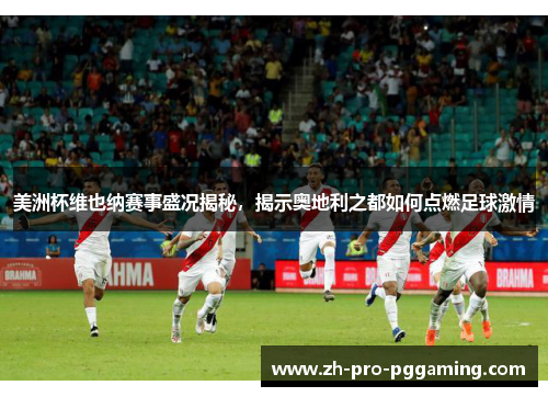 美洲杯维也纳赛事盛况揭秘，揭示奥地利之都如何点燃足球激情