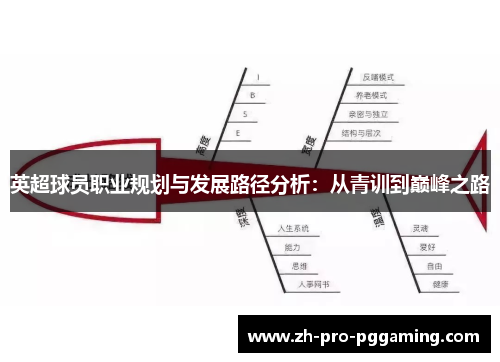 英超球员职业规划与发展路径分析：从青训到巅峰之路