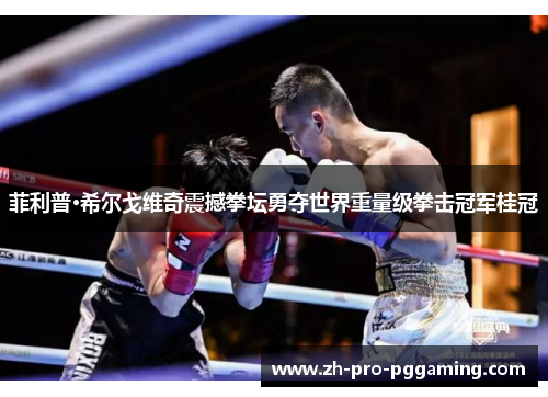 菲利普·希尔戈维奇震撼拳坛勇夺世界重量级拳击冠军桂冠 菲利普·希尔戈维奇震撼拳坛勇夺世界重量级拳击冠军桂冠