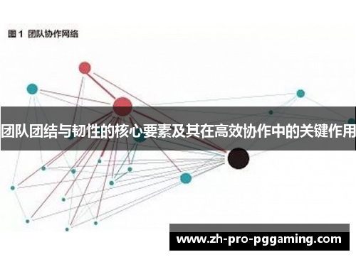 团队团结与韧性的核心要素及其在高效协作中的关键作用