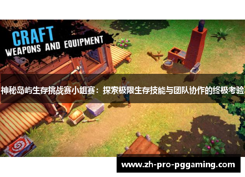 神秘岛屿生存挑战赛小组赛：探索极限生存技能与团队协作的终极考验