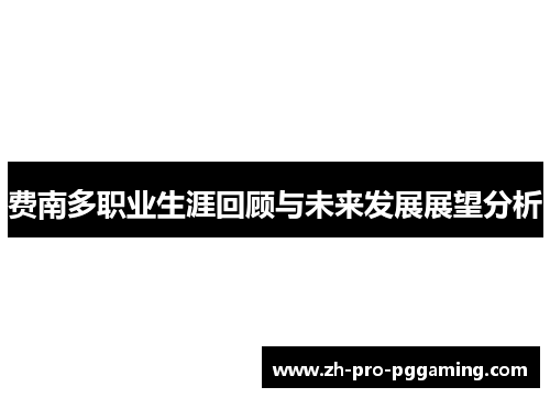 费南多职业生涯回顾与未来发展展望分析 费南多职业生涯回顾与未来发展展望分析